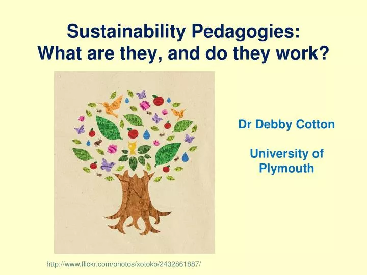 sustainability pedagogies what are they and do they work
