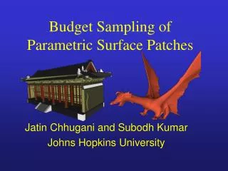 Budget Sampling of Parametric Surface Patches