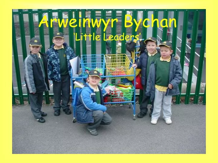 arweinwyr bychan little leaders