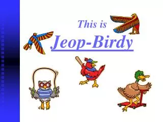 This is Jeop-Birdy
