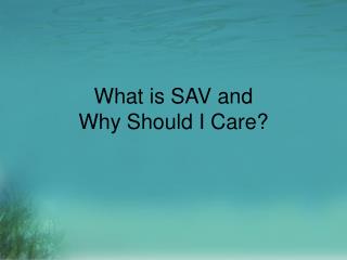 What is SAV and Why Should I Care?