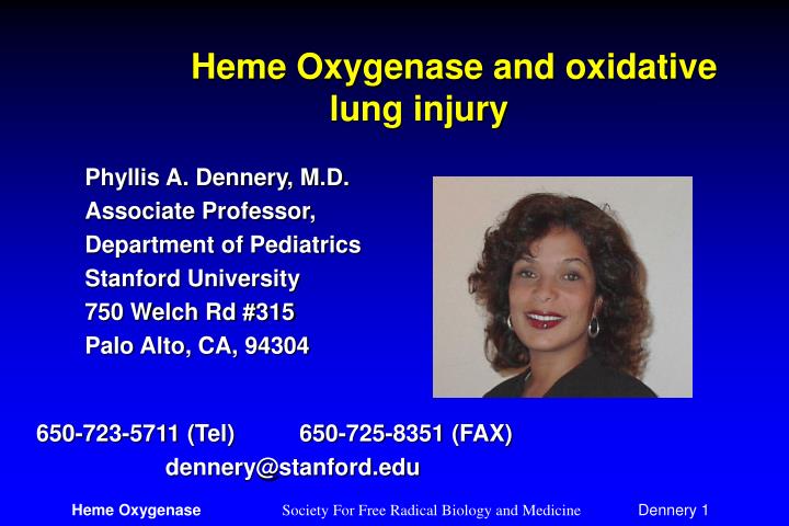 heme oxygenase and oxidative lung injury