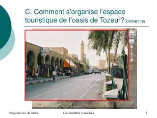 C. Comment s’organise l’espace touristique de l’oasis de Tozeur? (Démarche)