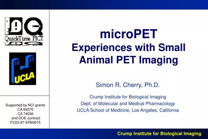 micropet experiences with small animal pet imaging