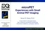 microPET Experiences with Small Animal PET Imaging - slide 1