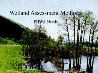 Wetland Assessment Methods