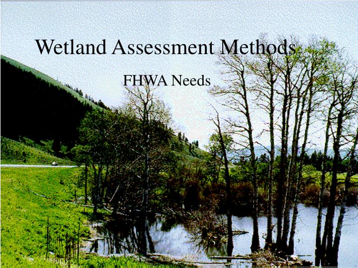 wetland assessment methods