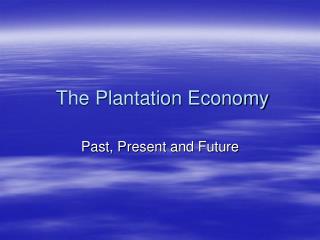 The Plantation Economy