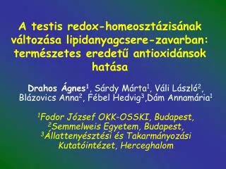 A testis redox-homeosztázisának változása lipidanyagcsere-zavarban: természetes eredetű antioxidánsok hatása