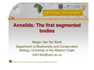 Annelids: The first segmented bodies