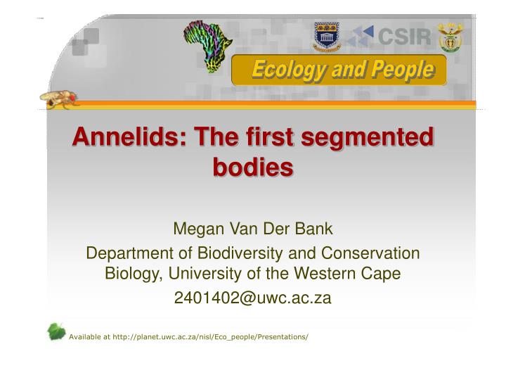annelids the first segmented bodies