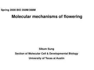 Spring 2008 BIO 350M/388M Molecular mechanisms of flowering