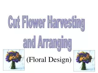 (Floral Design)