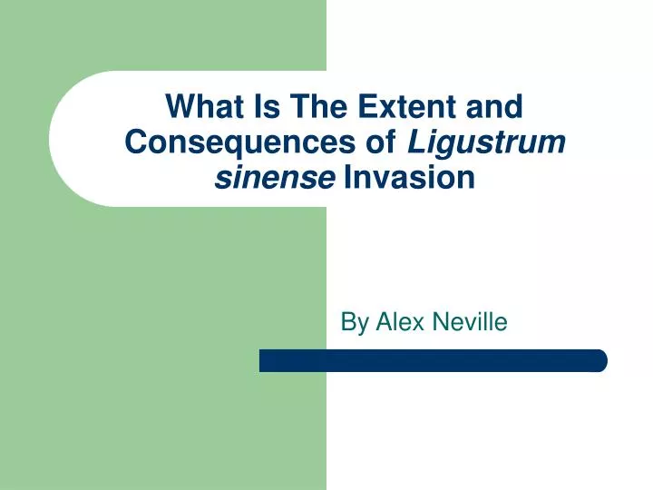 what is the extent and consequences of ligustrum sinense invasion
