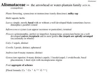 Alismataceae -- the arrowhead or water-plantain family (4/29-30; 	cosmopolitan)