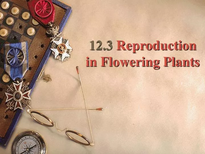 12 3 reproduction in flowering plants