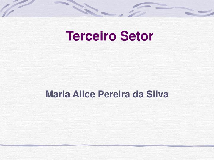 terceiro setor