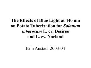 The Effects of Blue Light at 440 nm on Potato Tuberization for Solanum tuberosum L. cv. Desiree and L. cv. Norland