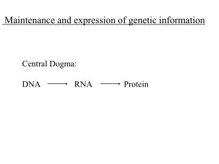 Maintenance and expression of genetic information