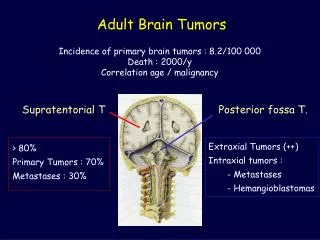 Adult Brain Tumors