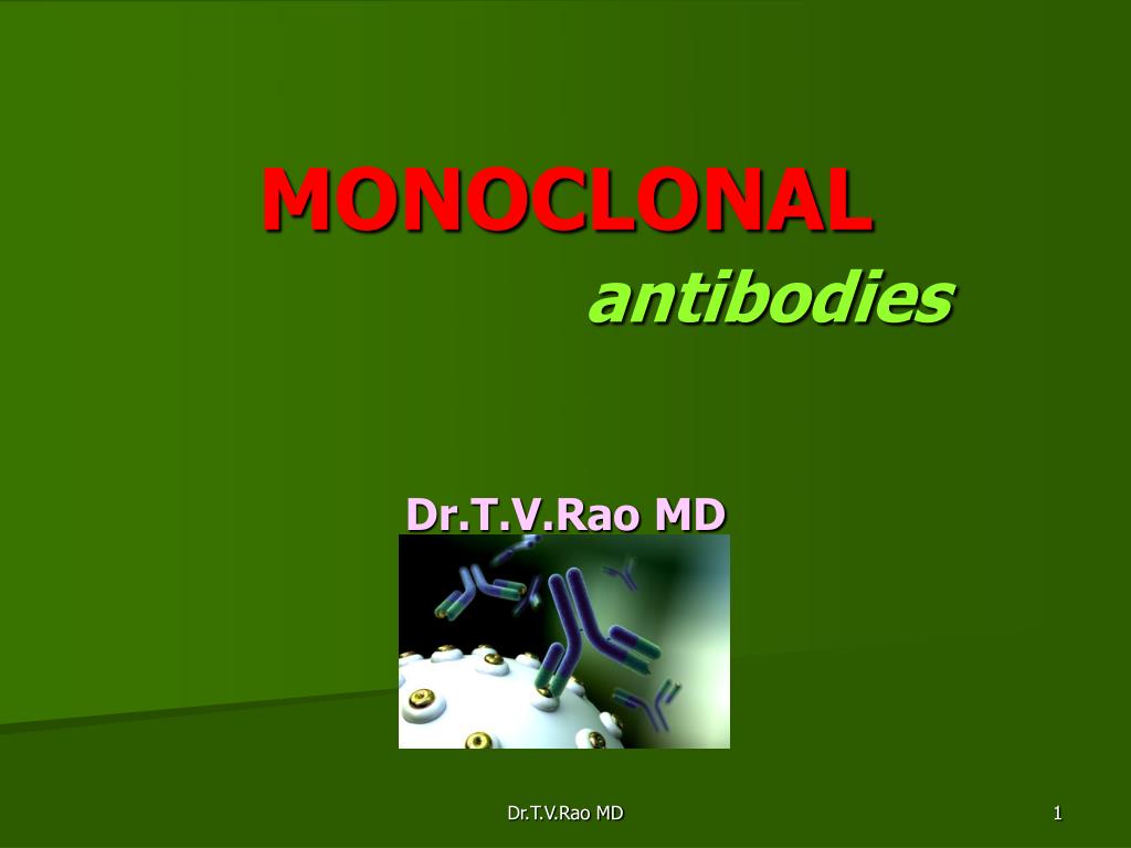 PPT - Monoclonal Antibodies PowerPoint Presentation, free download - ID ...