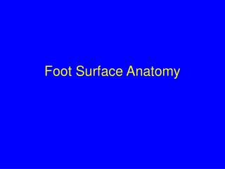 Foot Surface Anatomy