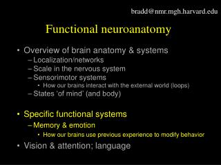 Functional neuroanatomy