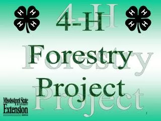 4-H Forestry Project