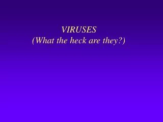 VIRUSES (What the heck are they?)