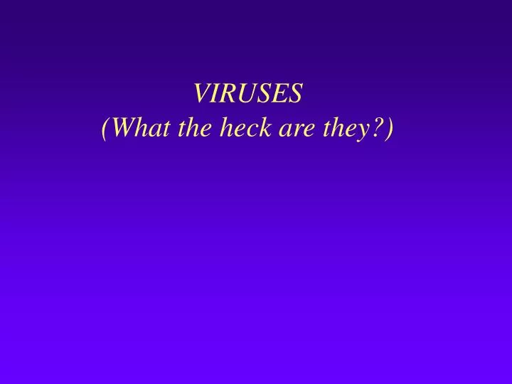 viruses what the heck are they