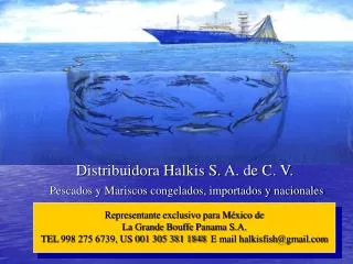 Distribuidora Halkis S. A. de C. V. Pescados y Mariscos congelados, importados y nacionales
