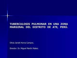 TUBERCULOSIS PULMONAR EN UNA ZONA MARGINAL DEL DISTRITO DE ATE, PERÚ.
