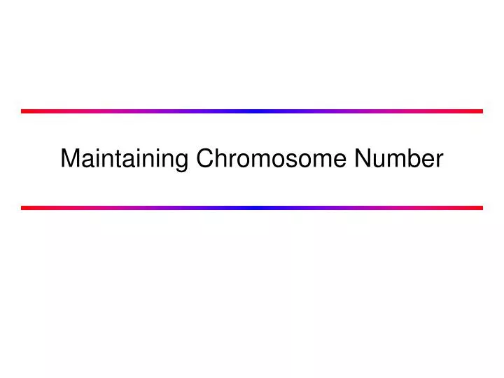 maintaining chromosome number
