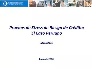 Pruebas de Stress de Riesgo de Crédito: El Caso Peruano Manuel Luy