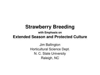Strawberry Breeding with Emphasis on Extended Season and Protected Culture