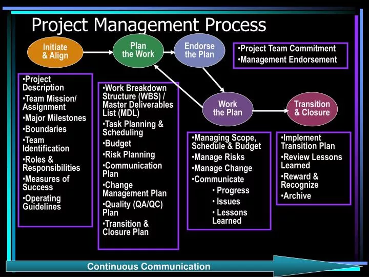 project management process