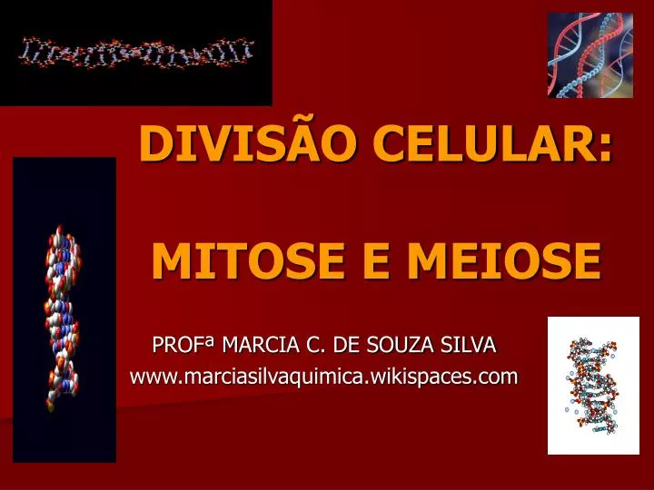 divis o celular mitose e meiose