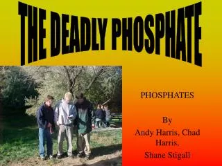 PHOSPHATES By Andy Harris, Chad Harris, Shane Stigall