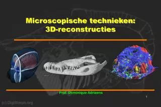 microscopische technieken 3d reconstructies