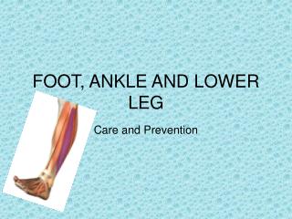 FOOT, ANKLE AND LOWER LEG