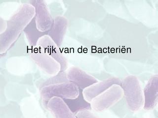 Het rijk van de Bacteriën