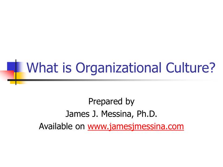 what is organizational culture