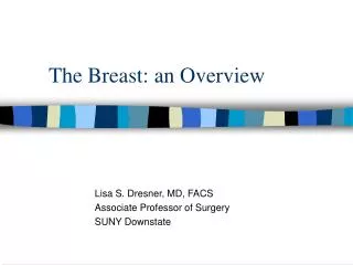 The Breast: an Overview