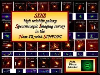 SINS high redshift galaxy S pectroscopic I maging survey in the N ear-IR with S INFONI
