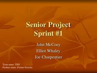 Senior Project Sprint #1