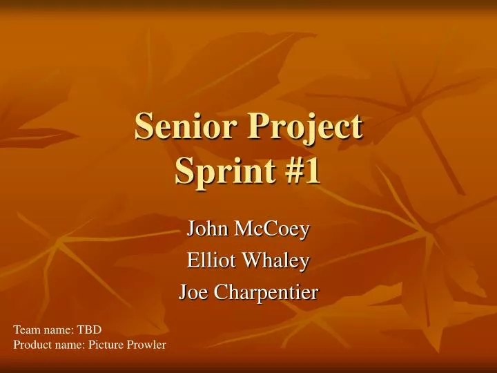 senior project sprint 1