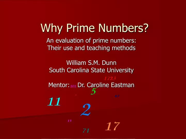 why prime numbers