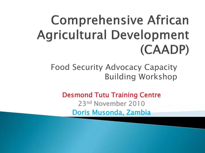 comprehensive african agricultural development caadp