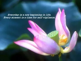 Everyday is a new beginning in life. Every moment is a time for self vigilance.