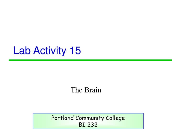 lab activity 15